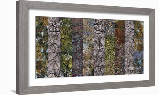 Autumn Mosaic-Sharon Elphick-Framed Giclee Print