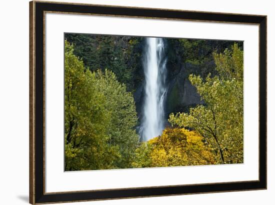 Autumn, Multnomah Falls, Columbia Gorge, Oregon, USA-Michel Hersen-Framed Premium Photographic Print