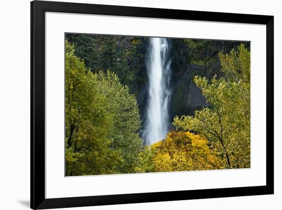 Autumn, Multnomah Falls, Columbia Gorge, Oregon, USA-Michel Hersen-Framed Premium Photographic Print