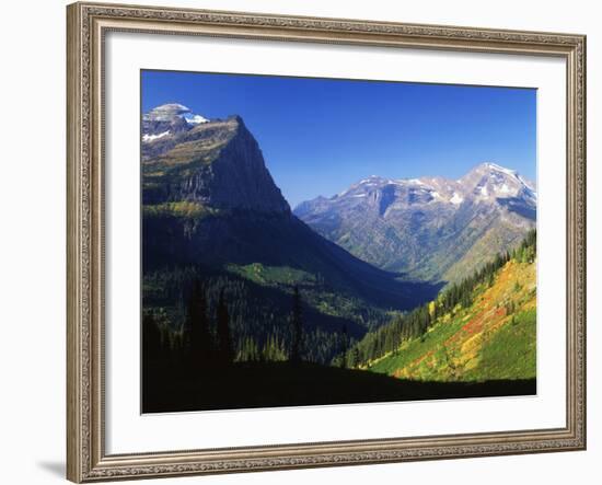 Autumn Near Logan Pass, Glacier National Park, Montana, USA-Adam Jones-Framed Photographic Print