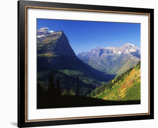 Autumn Near Logan Pass, Glacier National Park, Montana, USA-Adam Jones-Framed Photographic Print