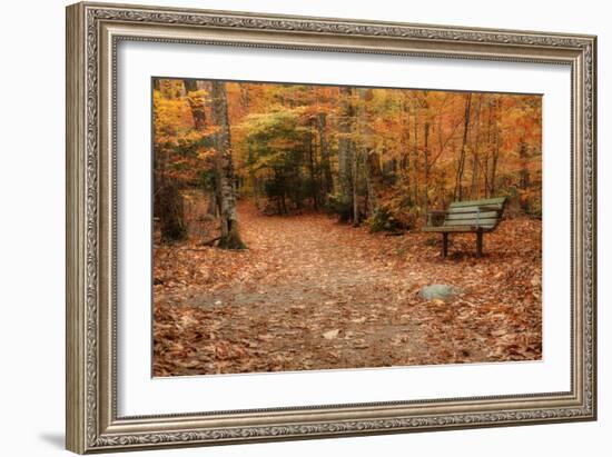 Autumn Near Trailhead at Sabbaday Falls-Vincent James-Framed Photographic Print