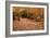 Autumn Near Trailhead at Sabbaday Falls-Vincent James-Framed Photographic Print