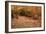 Autumn Near Trailhead at Sabbaday Falls-Vincent James-Framed Photographic Print