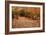 Autumn Near Trailhead at Sabbaday Falls-Vincent James-Framed Photographic Print