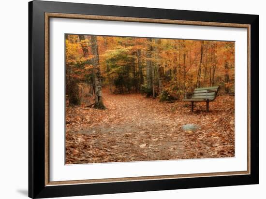 Autumn Near Trailhead at Sabbaday Falls-Vincent James-Framed Photographic Print