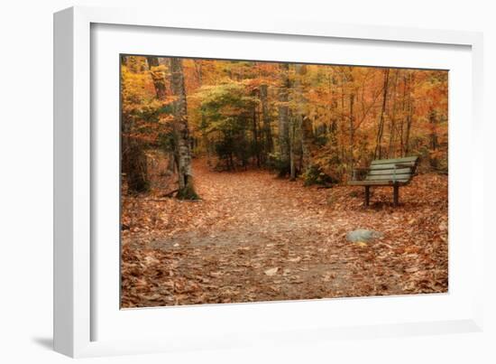 Autumn Near Trailhead at Sabbaday Falls-Vincent James-Framed Photographic Print