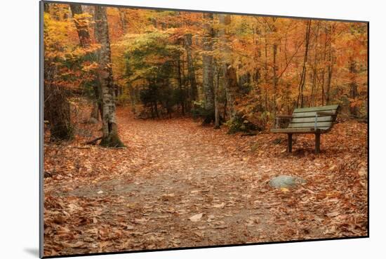 Autumn Near Trailhead at Sabbaday Falls-Vincent James-Mounted Photographic Print