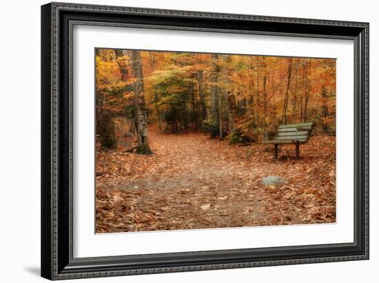 Autumn Near Trailhead at Sabbaday Falls-Vincent James-Framed Photographic Print