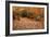 Autumn Near Trailhead at Sabbaday Falls-Vincent James-Framed Photographic Print