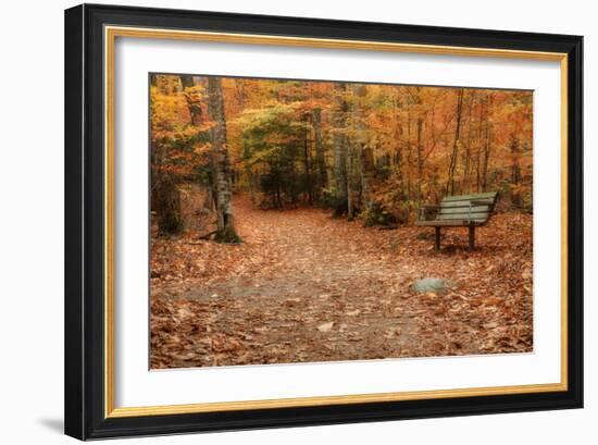 Autumn Near Trailhead at Sabbaday Falls-Vincent James-Framed Photographic Print