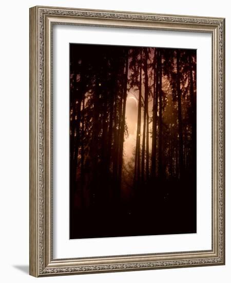 Autumn Night-Julie Fain-Framed Art Print