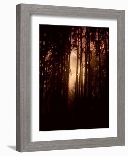 Autumn Night-Julie Fain-Framed Art Print