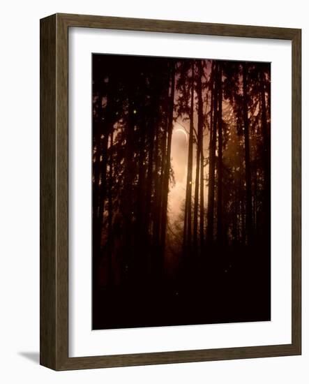 Autumn Night-Julie Fain-Framed Art Print