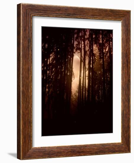 Autumn Night-Julie Fain-Framed Art Print