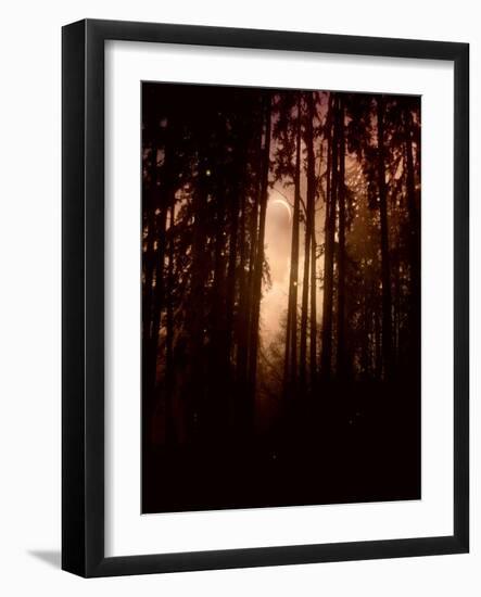 Autumn Night-Julie Fain-Framed Art Print