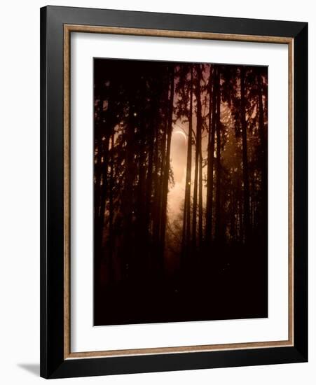 Autumn Night-Julie Fain-Framed Art Print