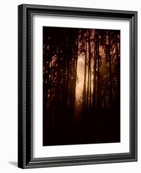 Autumn Night-Julie Fain-Framed Art Print