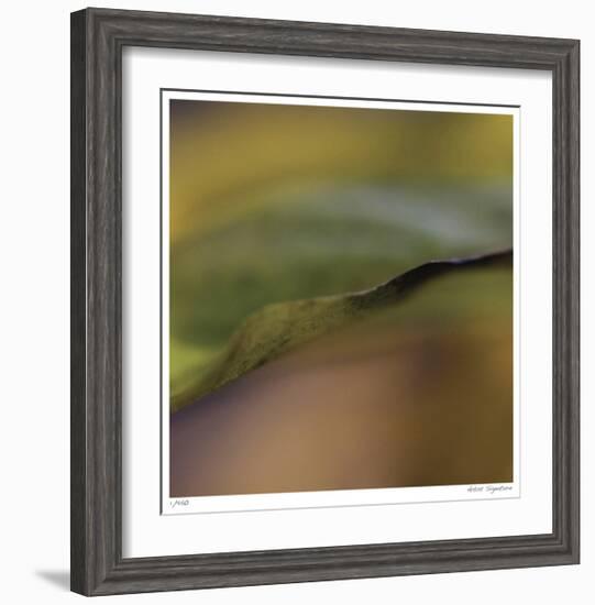 Autumn No 3-Eva Mueller-Framed Giclee Print