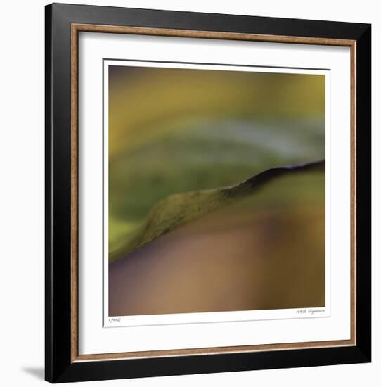 Autumn No 3-Eva Mueller-Framed Giclee Print