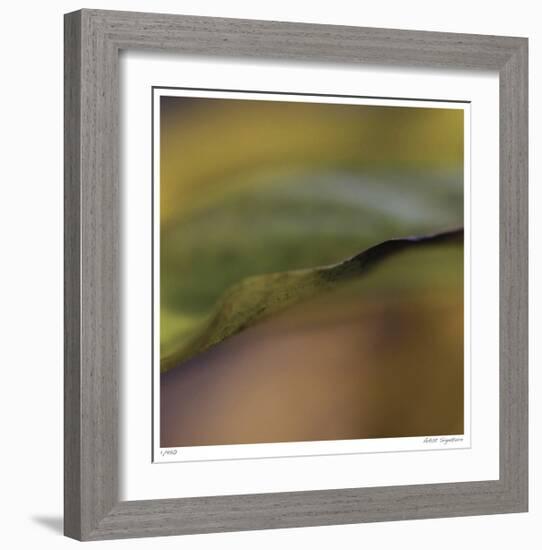 Autumn No 3-Eva Mueller-Framed Giclee Print