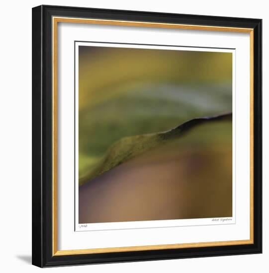 Autumn No 3-Eva Mueller-Framed Giclee Print