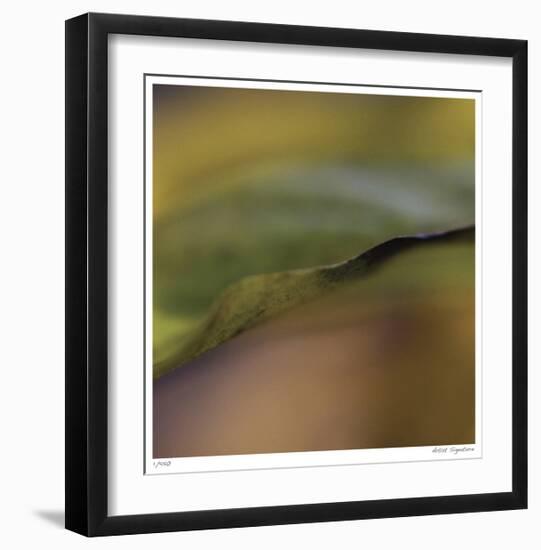 Autumn No 3-Eva Mueller-Framed Giclee Print