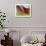 Autumn No 5-Eva Mueller-Giclee Print displayed on a wall