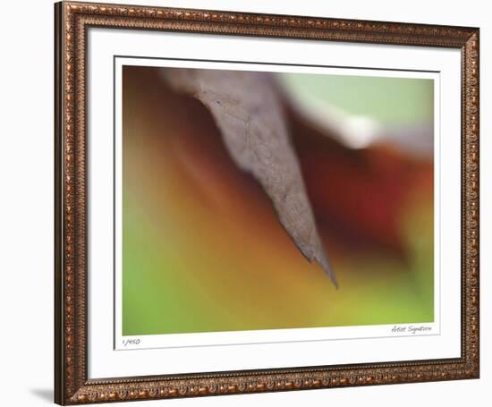 Autumn No 5-Eva Mueller-Framed Giclee Print