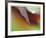 Autumn No 5-Eva Mueller-Framed Giclee Print