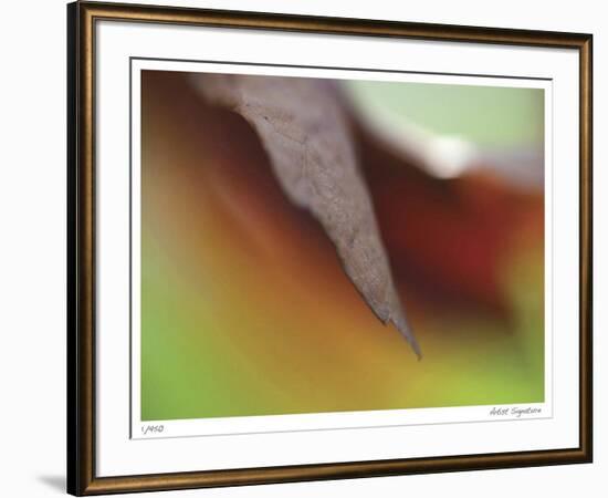 Autumn No 5-Eva Mueller-Framed Giclee Print