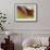 Autumn No 5-Eva Mueller-Framed Giclee Print displayed on a wall