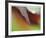 Autumn No 5-Eva Mueller-Framed Giclee Print