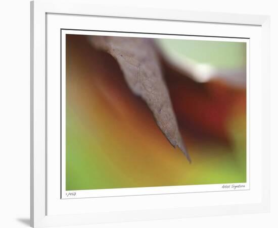 Autumn No 5-Eva Mueller-Framed Giclee Print