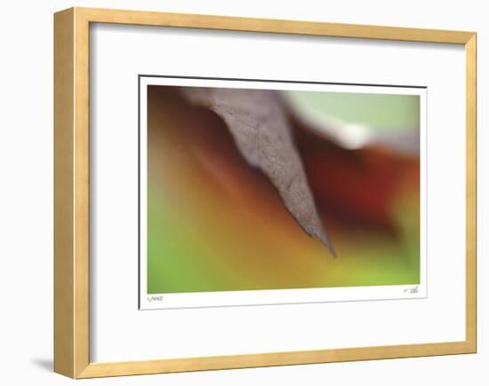 Autumn No 5-Eva Mueller-Framed Limited Edition