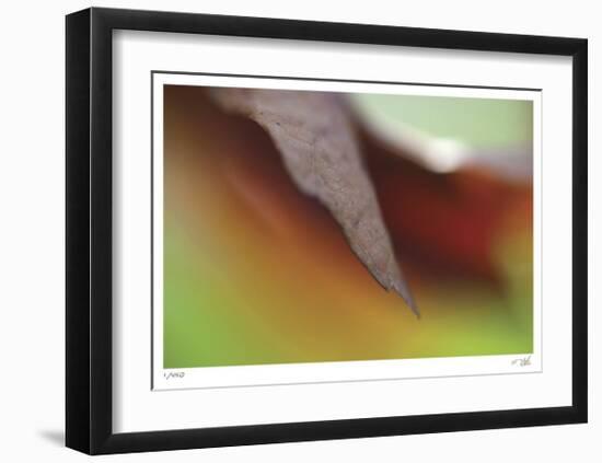 Autumn No 5-Eva Mueller-Framed Limited Edition