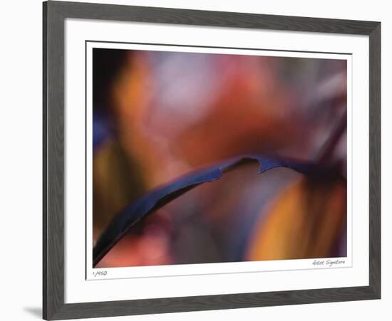 Autumn No 8-Eva Mueller-Framed Giclee Print