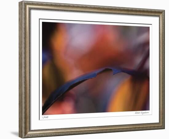 Autumn No 8-Eva Mueller-Framed Giclee Print