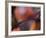 Autumn No 8-Eva Mueller-Framed Giclee Print