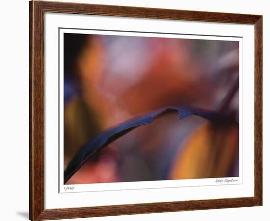 Autumn No 8-Eva Mueller-Framed Giclee Print