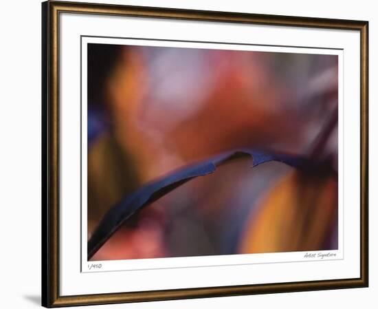 Autumn No 8-Eva Mueller-Framed Giclee Print