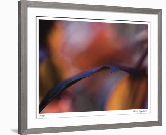 Autumn No 8-Eva Mueller-Framed Giclee Print