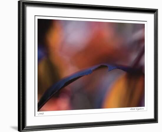 Autumn No 8-Eva Mueller-Framed Giclee Print