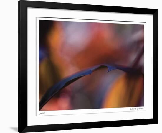 Autumn No 8-Eva Mueller-Framed Giclee Print