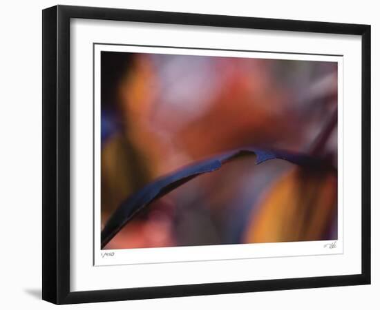 Autumn No 8-Eva Mueller-Framed Limited Edition