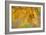 Autumn Oak Leaves-Cora Niele-Framed Giclee Print