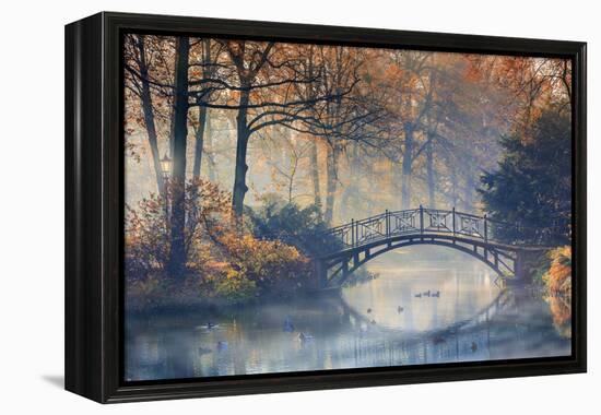 Autumn - Old Bridge in Autumn Misty Park-Gorilla-Framed Premier Image Canvas