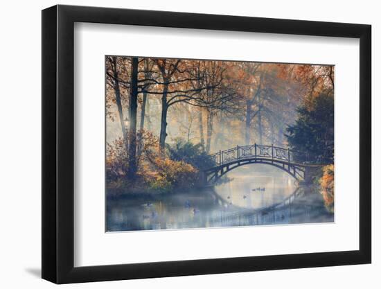 Autumn - Old Bridge in Autumn Misty Park-Gorilla-Framed Photographic Print