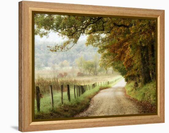 Autumn on a Country Road-Danny Head-Framed Premier Image Canvas