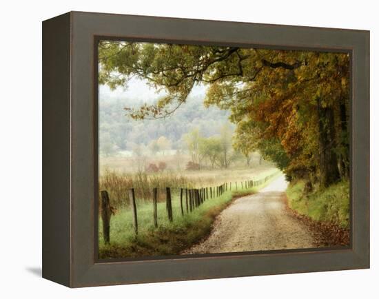 Autumn on a Country Road-Danny Head-Framed Premier Image Canvas